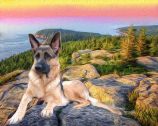 ATTIS IN THE HILLS ~  No description included. 